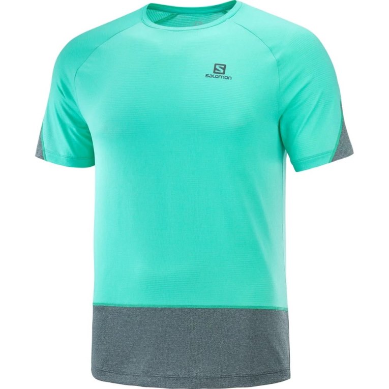 Turquoise / Grey Salomon Cross Run Short Sleeve Men's T-Shirts | PH 50438G